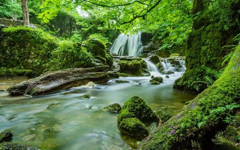 创意独特